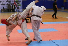 تصویر در اعزام کاراته کاهای تهران به فستیوال ورزشهای رزمی جهان