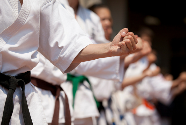 تصویر در برپایی دوره استاژ آموزشی کاراته بانوان